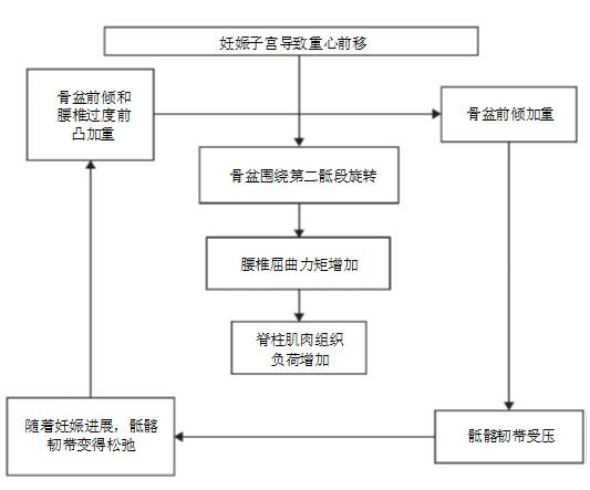 图片预览