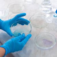 磷酸化抗体定制服务 TD-P-02