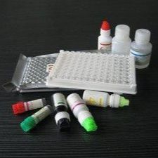 胰蛋白酶（Trypsin）试剂盒