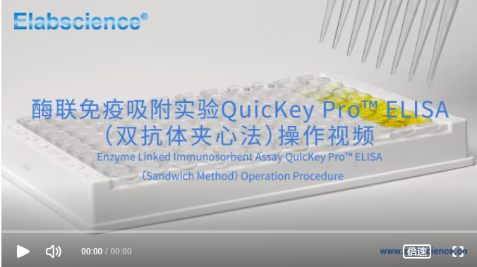 从小白到大师：ELISA实验操作视频详解