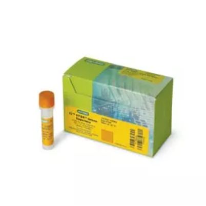 Bio-Rad 1708880AP荧光定量 PCR 超级预混液iQ™ SYBR® Green Supermix