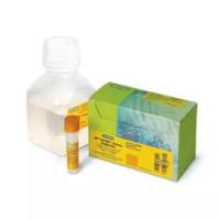 Bio-Rad 1708884AP定量试剂盒iQ™ SYBR® Green Supermix,1000×50uL