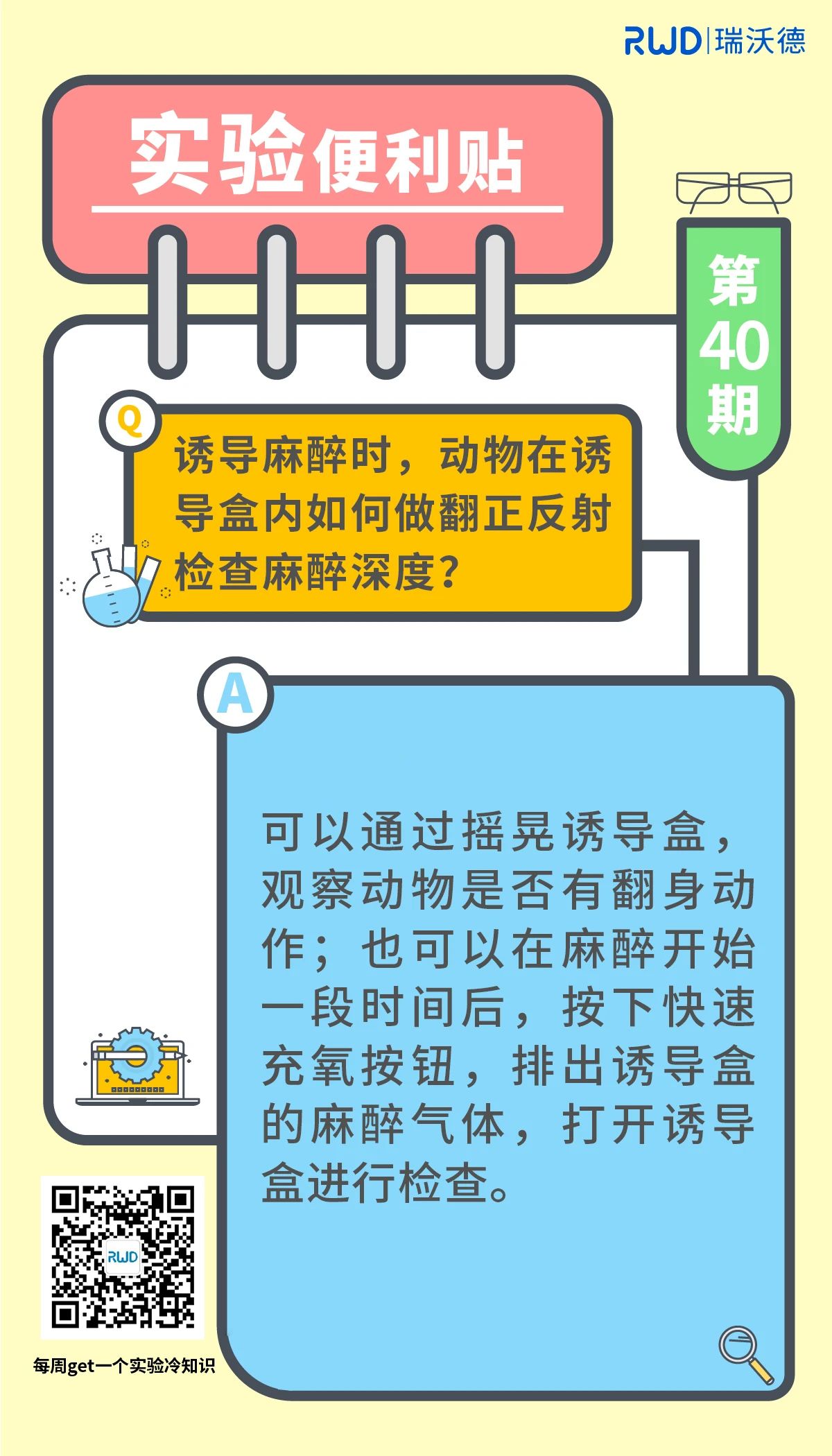 诱导麻醉时，动物在诱导盒内如何做翻正反射检查麻醉深度？