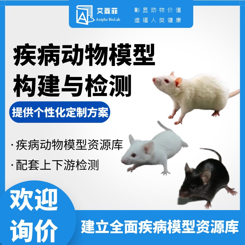 肥胖动物模型高脂饲养小鼠肥胖小鼠模型