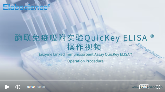 从小白到大师：ELISA实验操作视频详解