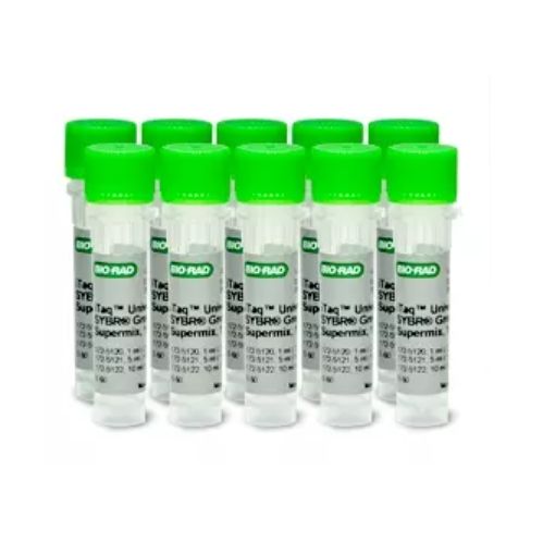 Bio-Rad 1725122定量试剂盒iTaq™ Universal SYBR® Green Supermix 1,000 x 20 µl rxns, 10 ml (10 x 1 ml)