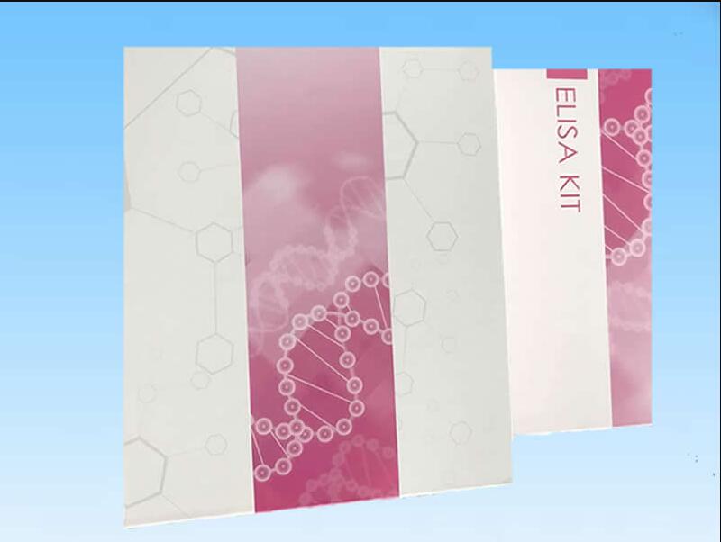 捻转毛细线虫探针法荧光定量PCR检测试剂盒实验规则