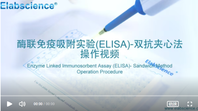 从小白到大师：ELISA实验操作视频详解