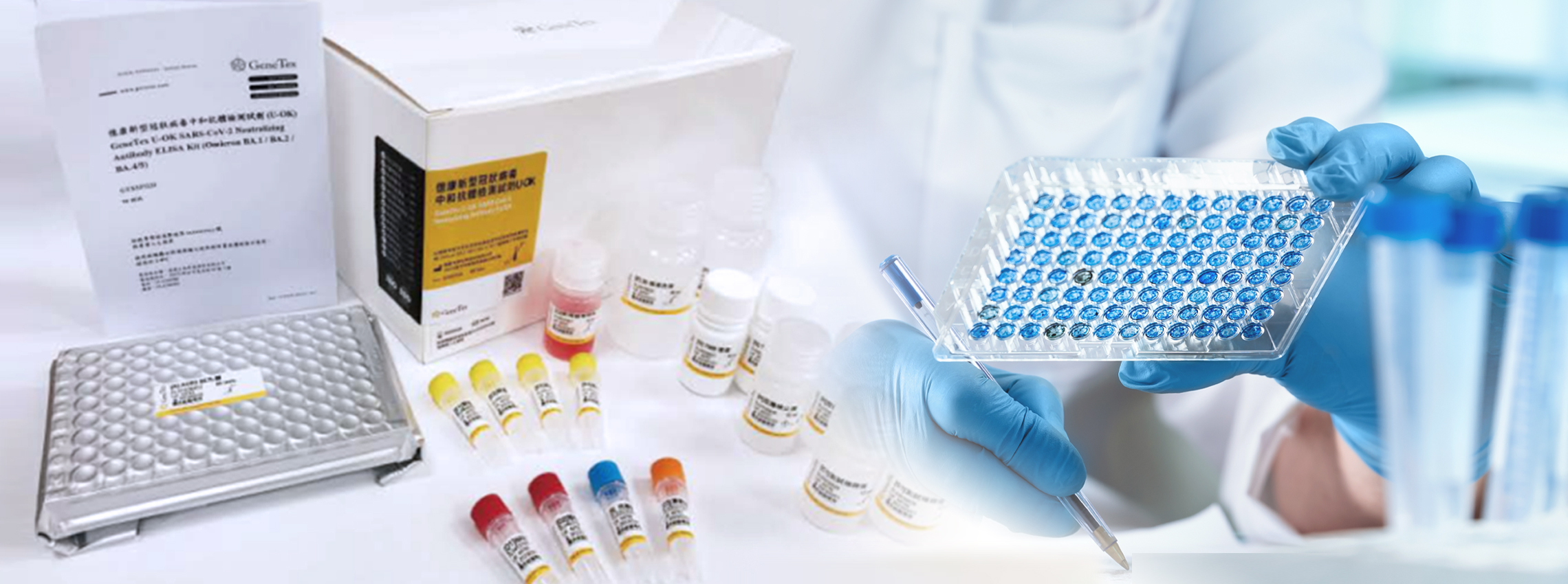 抗体辨识SPIKE、免疫吸附ELISA