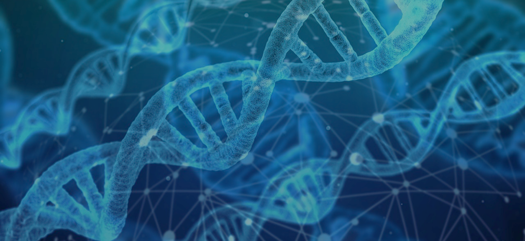 【活动预告】生物药开发中生物物理表征解决方案联合交流会