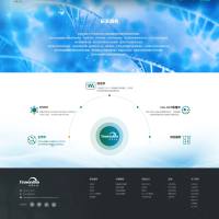 新药临床前服务/CRO服务