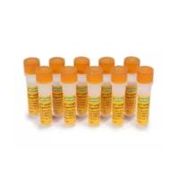 Bio-Rad 1708882AP定量试剂盒iQ™ SYBR® Green Supermix