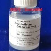 GE货号 17-0756-01 ( 17075601 ) Glutathione Sepharose 4B ( GST琼脂糖凝胶4B、谷胱甘肽琼脂糖凝胶4B )