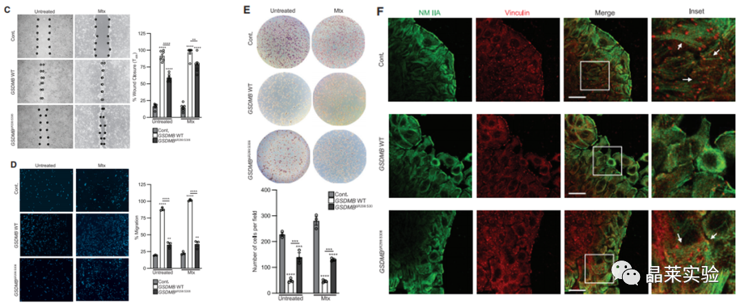 技术资料图片13