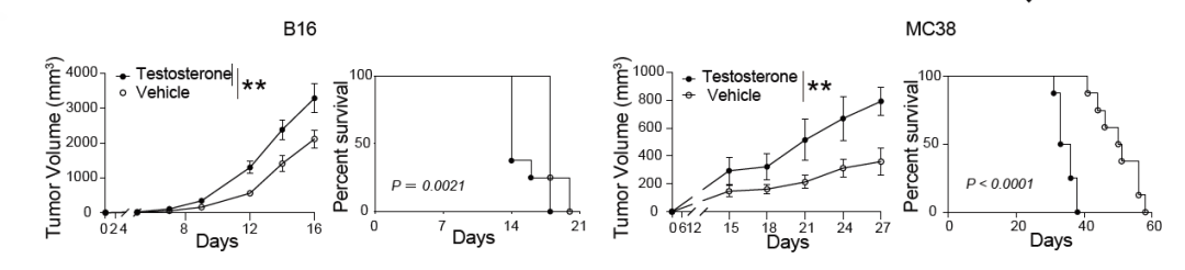 男女有「别」,癌症免疫竟与性别相关!