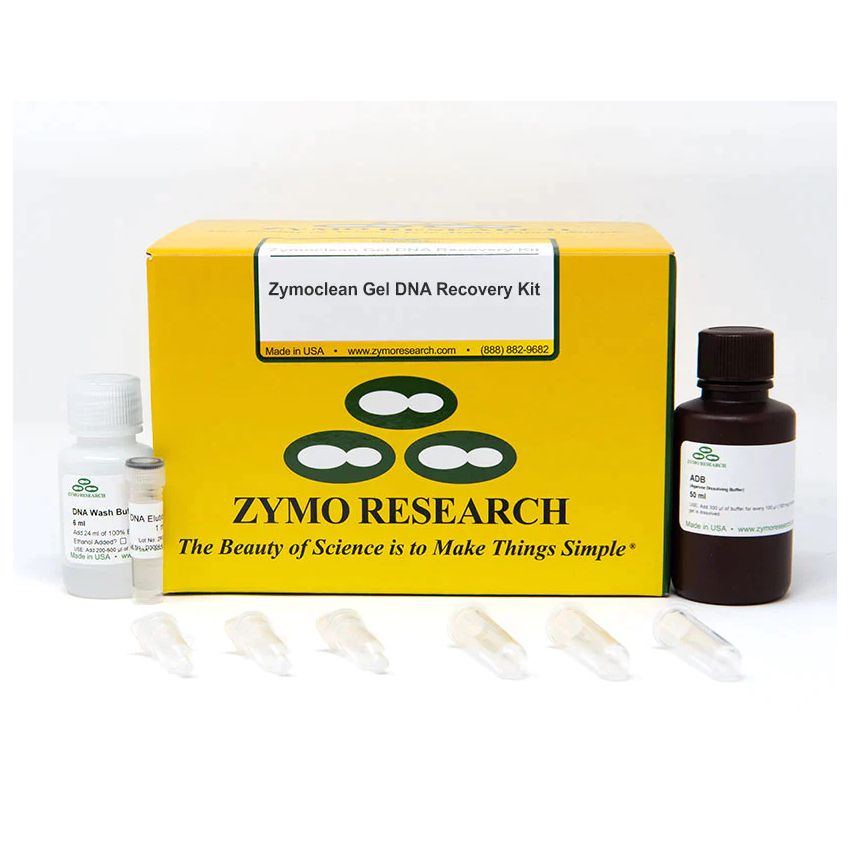 Zymo research D4008酶清洁凝胶DNA回收试剂盒