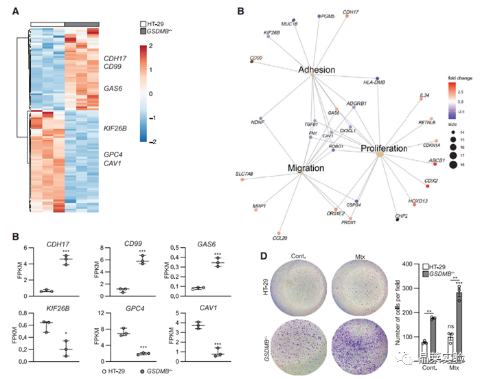 技术资料图片10