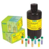 Quick Start™ Bradford 快速蛋白浓度测定基于Bradford法