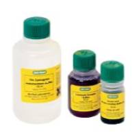 上样缓冲液和试剂