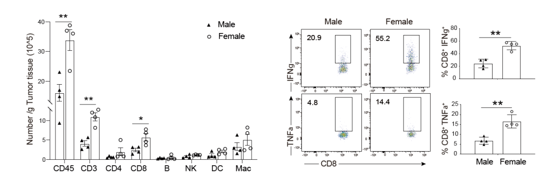 男女有「别」,癌症免疫竟与性别相关!