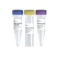 拓扑克隆试剂盒 Ultra-Universal TOPO Cloning Kit(C603)