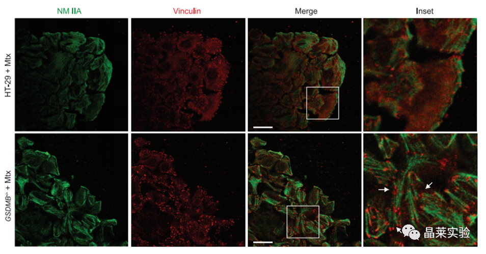 技术资料图片12