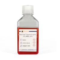 BeyoTryp™ Express Enzyme (1X, 含酚红, AOF)