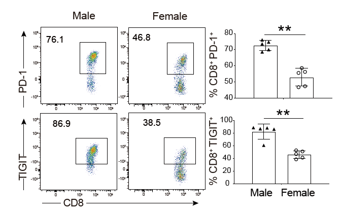 男女有「别」,癌症免疫竟与性别相关!