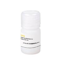 4×Tris-HCl-SDS浓缩胶缓冲液 pH6.8