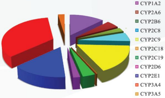 肝微粒体、肝S9、肝胞质液与体外药物代谢