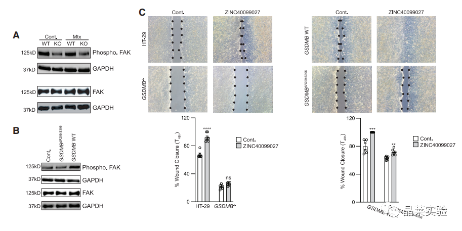 技术资料图片15