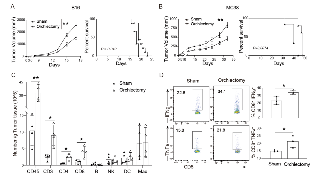 男女有「别」,癌症免疫竟与性别相关!