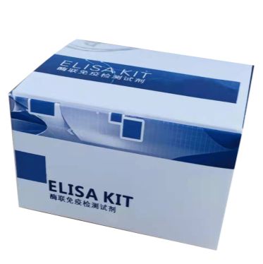 人胱天蛋白酶激活的脱氧核糖核酸酶(CAD)ELISA Kit