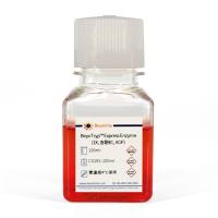 BeyoTryp™ Express Enzyme (1X, 含酚红, AOF)