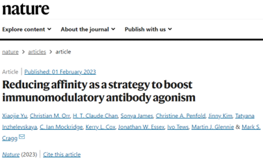 逆向思维！激动型抗体，中等亲和力就够了
