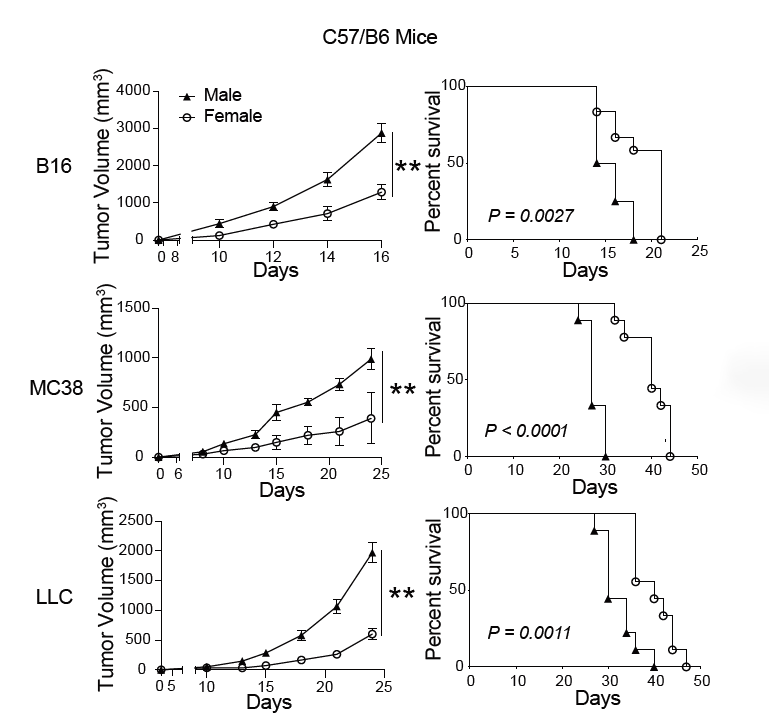 男女有「别」，癌症免疫竟与性别相关！