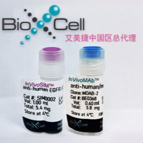 Bio X Cell代理| Bio X Cell大量现货供应|BioXCell代理| BioXCell大量现货供应