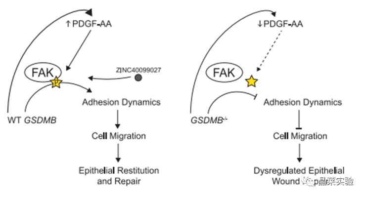 技术资料图片17