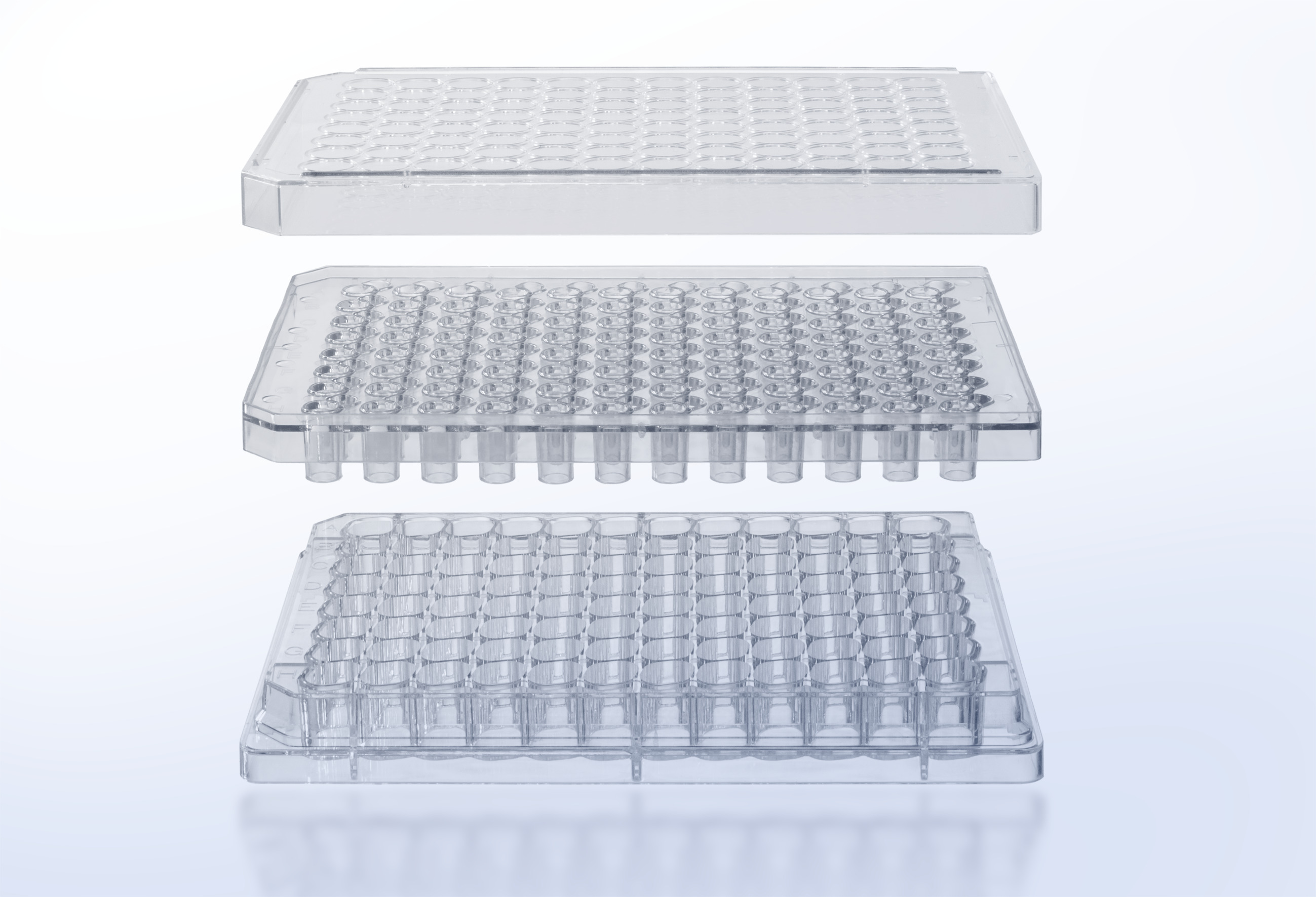 新品发布 | ThinCert®96孔HTS细胞培养小室