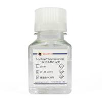 BeyoTryp™ Express Enzyme (10X, 含酚红, AOF)