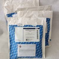 QIAGEN 19133蛋白酶K Proteinase K(10)