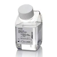 Invitrogen™10977015 UltraPure™无 DNase/RNase 蒸馏水