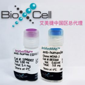 InVivoMAb 重组 Flt-3L-Ig（人/人-融合蛋白）|InVivoMAb recombinant Flt-3L-Ig (hum/hum)