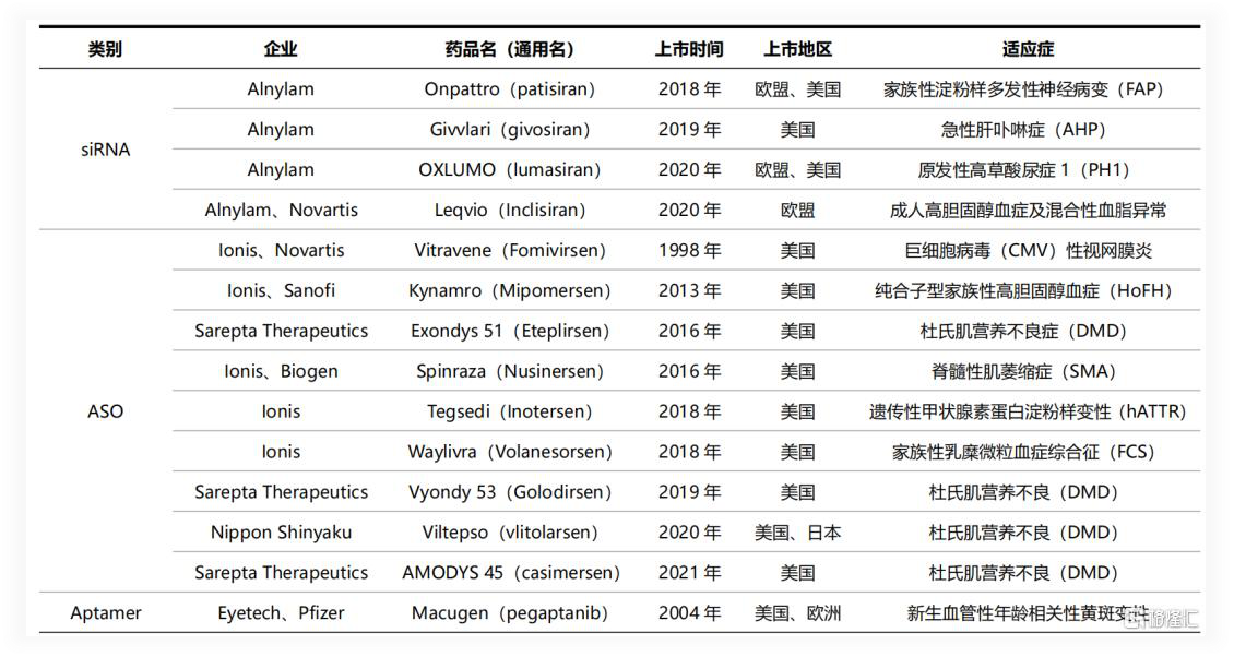 小核酸药物研发，你还没找对模型吗？