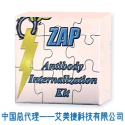 IB4-SAP Kit,IB4-SAP Kit
