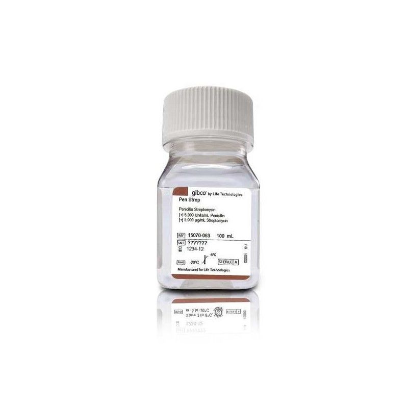 Gibco™ 15070063 青霉素-链霉素 (5,000 U/mL)