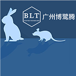 专题KV图