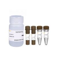 细胞增殖与示踪检测试剂盒