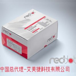 Reddot预染色蛋白质阶梯（13条条带，5-245 kDa）即用型Reddot Pre-stained Protein Ladder (13 bands, 5-245 kDa) Ready To Use