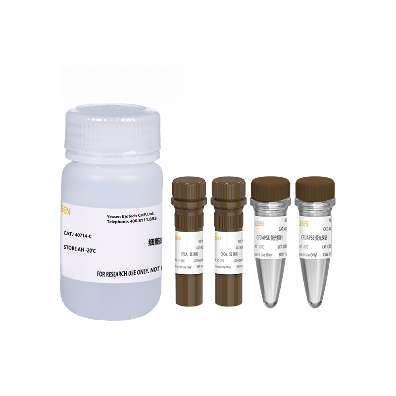 细胞增殖与示踪检测试剂盒